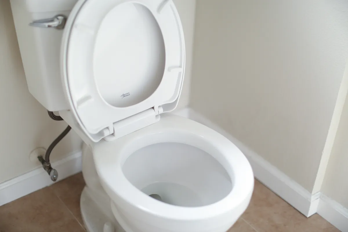 Vaso sanitário branco com a tampa levantada